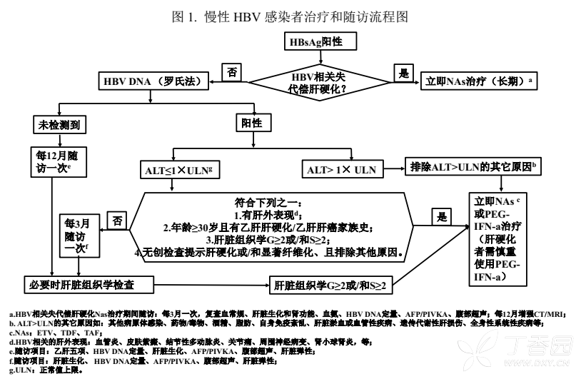 2019年版慢乙肝指南即將發布，抗病毒適應癥放寬啦！